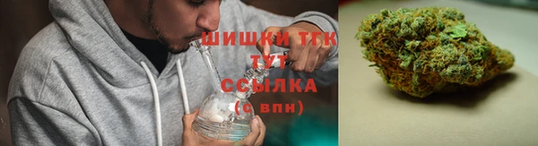 сатива Нягань
