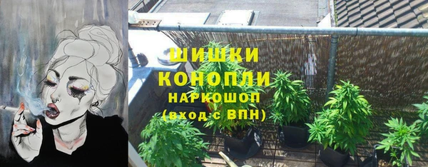 винт Няндома