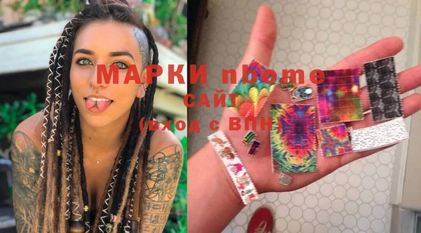дурь Краснослободск
