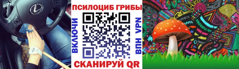 Галлюциногенные грибы ЛСД  Таштагол 